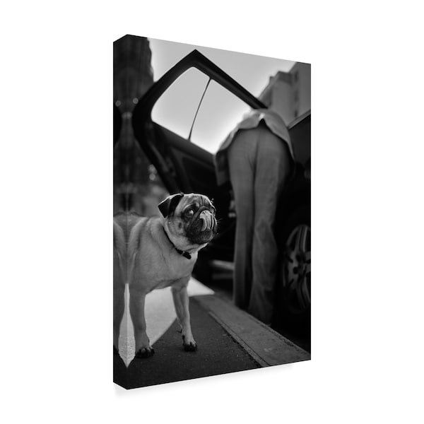 Christophe Debon 'Street Pug' Canvas Art,30x47